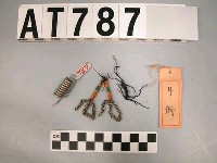 藏品(耳飾)的圖片